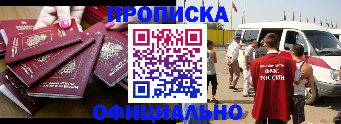 прописка поиск в Бийске